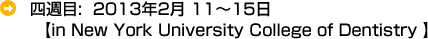 四週目 :  February 6-10, 2012　(NYU Campus)